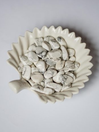 Howlit szlifowany 2 cm